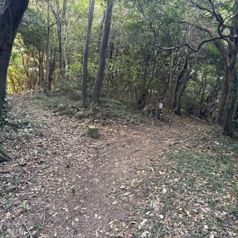 琴音の滝登山道との分岐。
右側に。