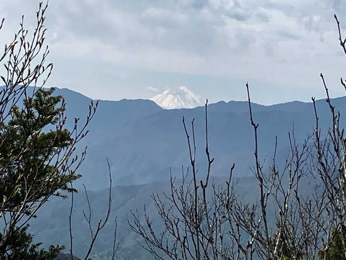 上落合橋登山口-八丁尾根-両神山 往復コースの写真