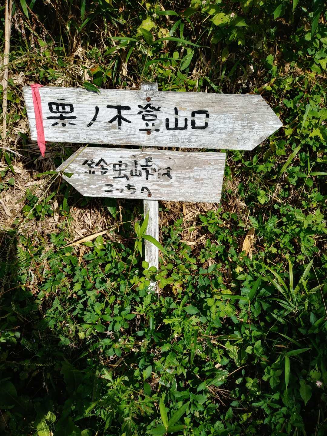 ここからスタート。先客無し。