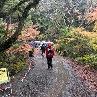 A1こがね橋　昨年はここでリタイア申告したなぁ