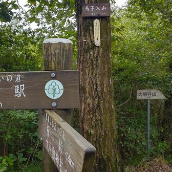 馬不入山🙌
車道の分岐から登山道に入って.....🧐