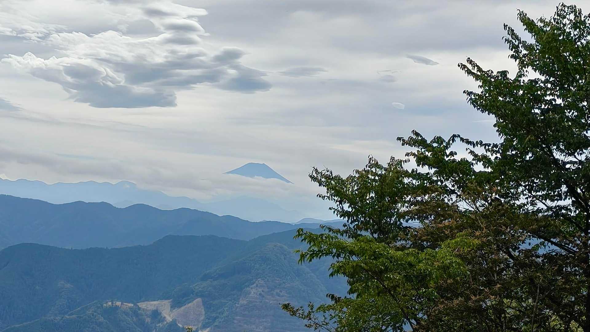 なんとか見えてます。
冬なら絶景になるコースですね🙄