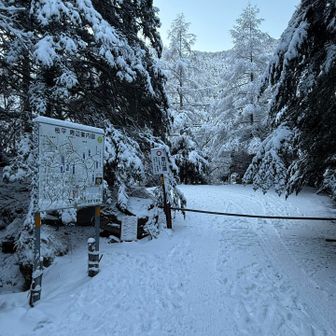 ハスクさんと北八ロープウェイ山麓駅で合流。車一台を置いて、もう一台で桜平へ。四駆じゃないと厳しいところ。