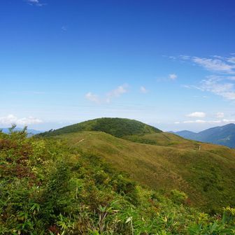 最後に金剛堂山へ戻って下山します。
お手軽に稜線歩きを楽しめて良かったです😊