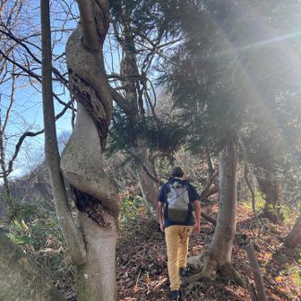 中尾彬ばりのネジネジ