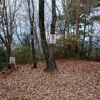 ピークに特に思い入れナシ。