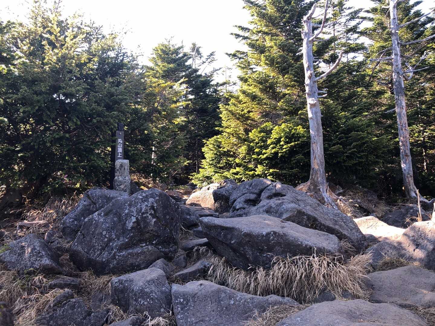 丸山の写真