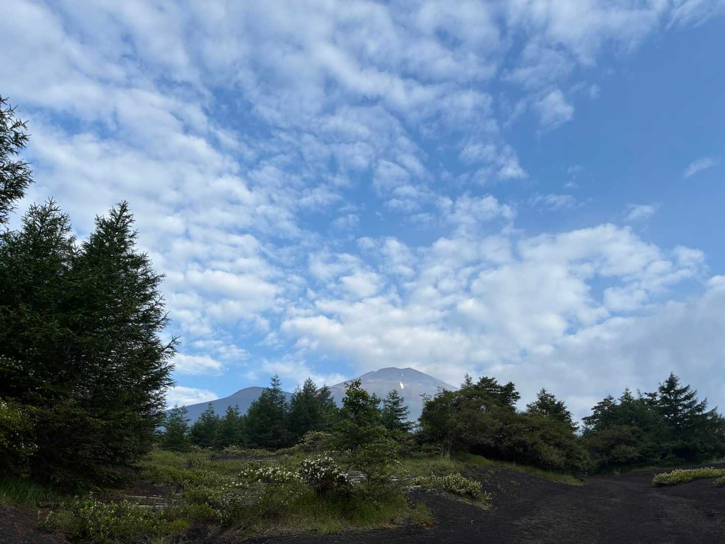 一瞬見えた富士山をおさめる