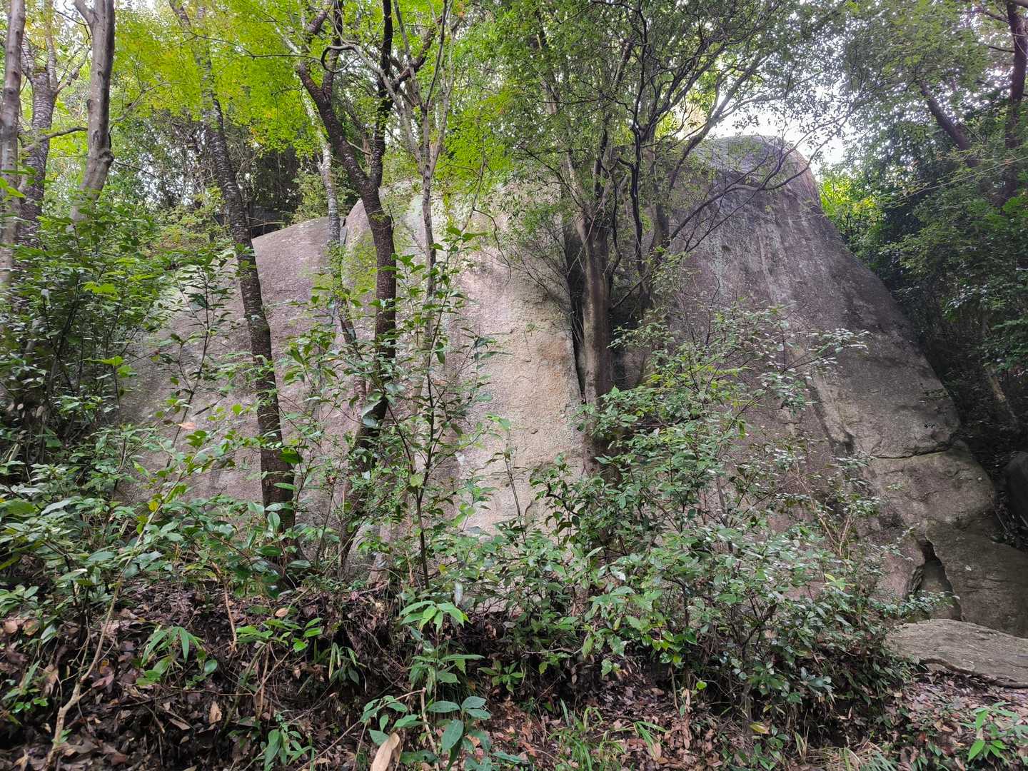 大きな岩！！