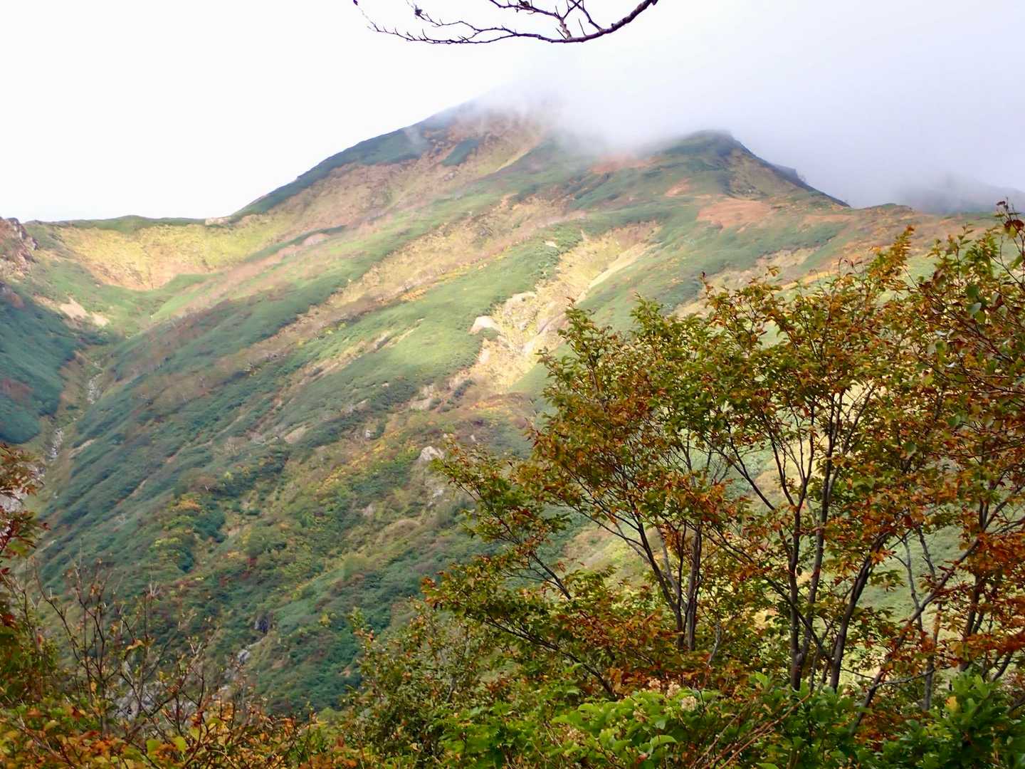 稜線から見上げた本山方面！！
実際にはもっと色のグラデーションが良かったのですが、写真下手で伝わりません😂