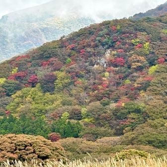 沓掛山の尾根の紅葉も奇麗かった～
この日は携帯のカメラしかないのが残念💧