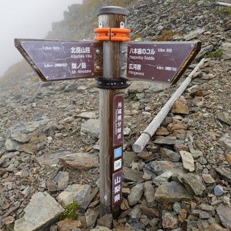標識