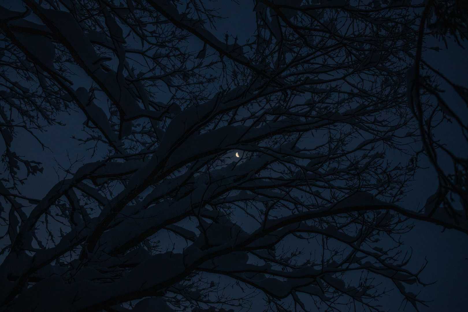 月が見えてる