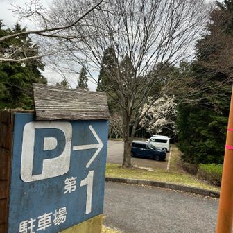 帰ってきましたー♪