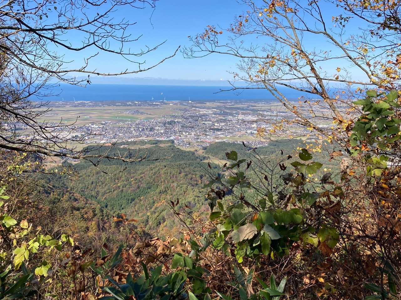 櫛形山-関沢登山口 往復コースの写真