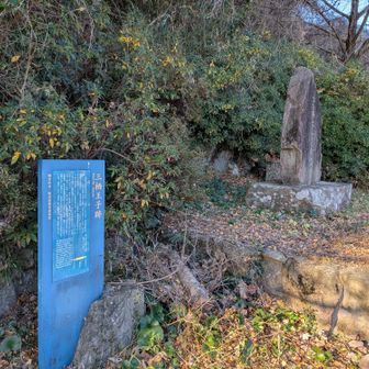 三栖王子跡
この辺りは山道になります
この後、YAMAPでは舗装路と山道の二択になりますが、時短のため舗装路へ