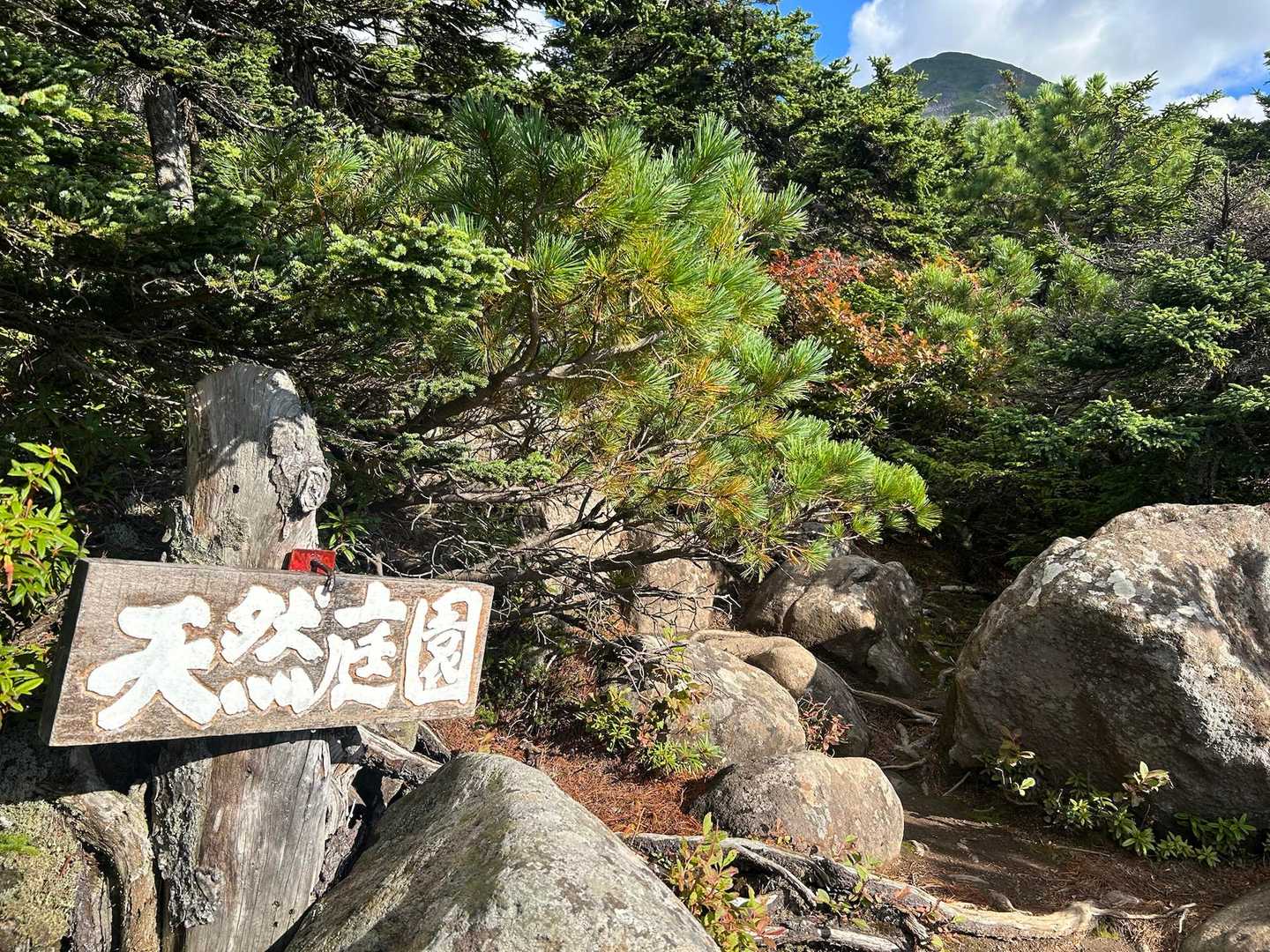 朝とは打って変わっていい天気。