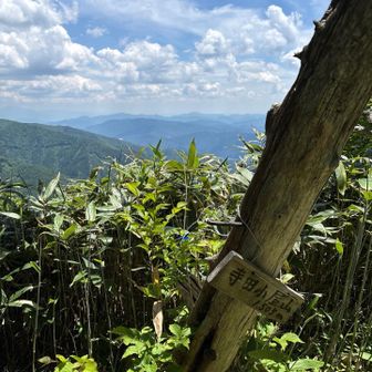 山頂。少し前に笹薮を刈ってくれてたようです。
