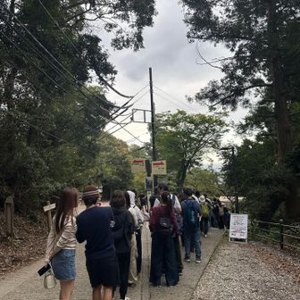 リフト待ちの大行列！
そして、高尾山のリフト、安全バーがなくてびっくり！
めちゃくちゃ怖くて、ずっと座席を掴んでいました😭