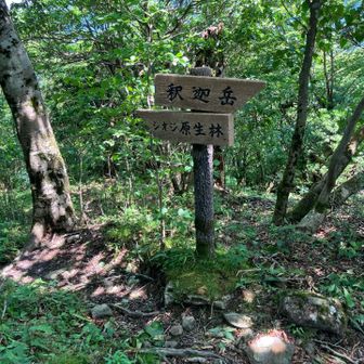 さて、次は少し降りて