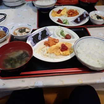 で、
おはよーございます。
5時頃の徘徊で⛽️は消化されたので美味しく完食
ごちそうさまでした🙏