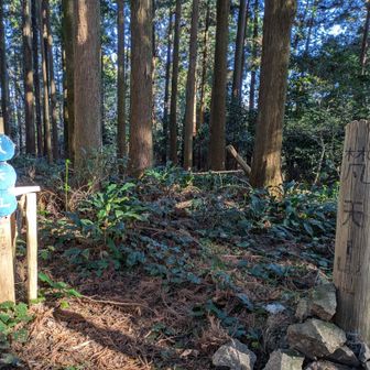 山頂に到着したは良いものの…腹痛が…😱。間に合うか…