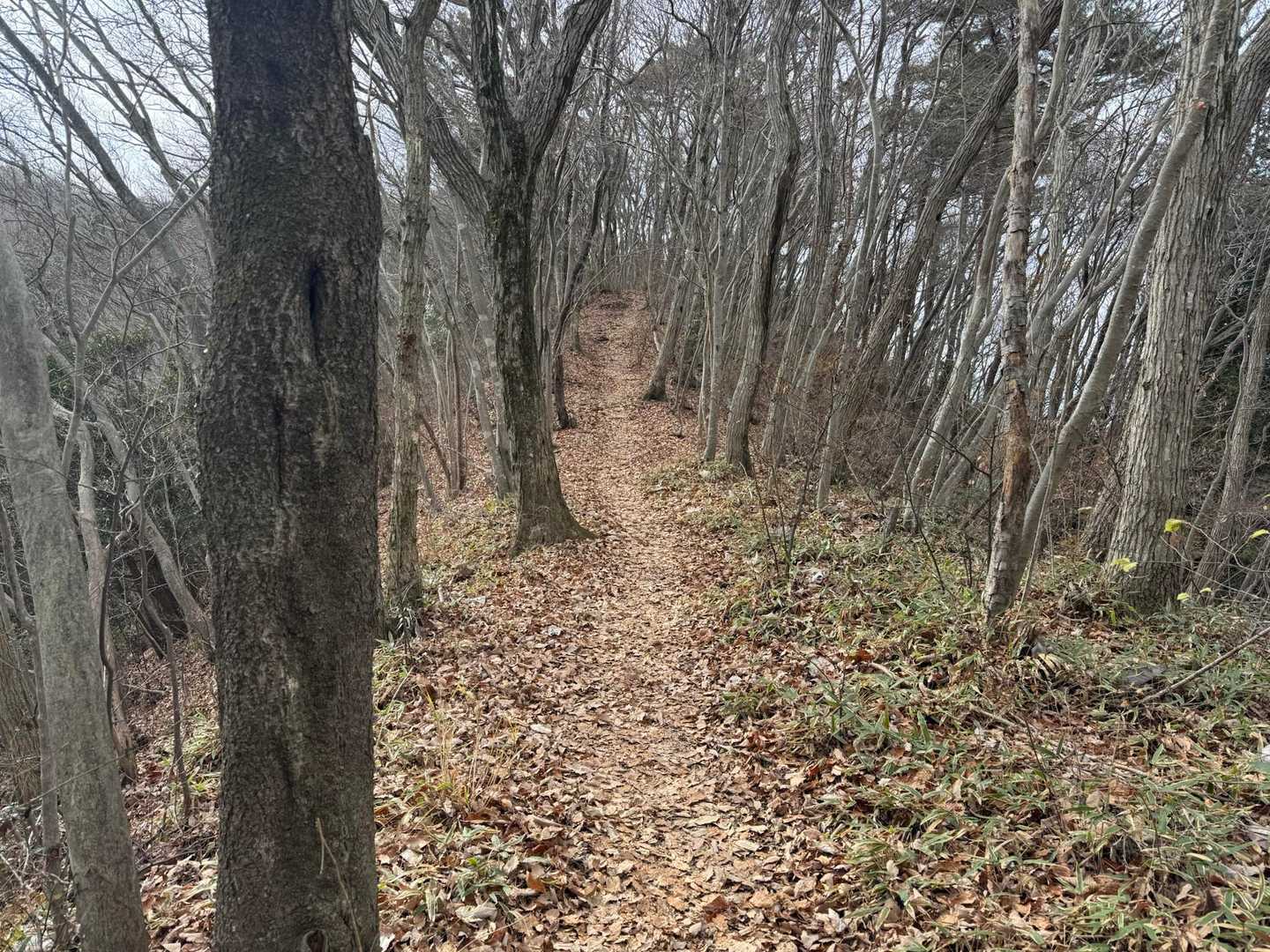 こういうところは走る
生姜焼き〜🏃‍➡️