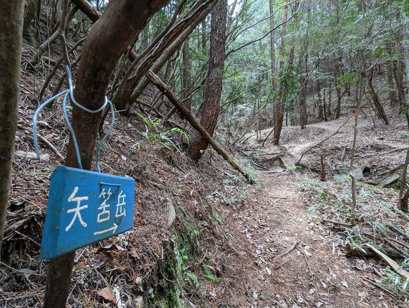 【矢筈岳→】はアッチっすね(;*´Д`)ﾉ