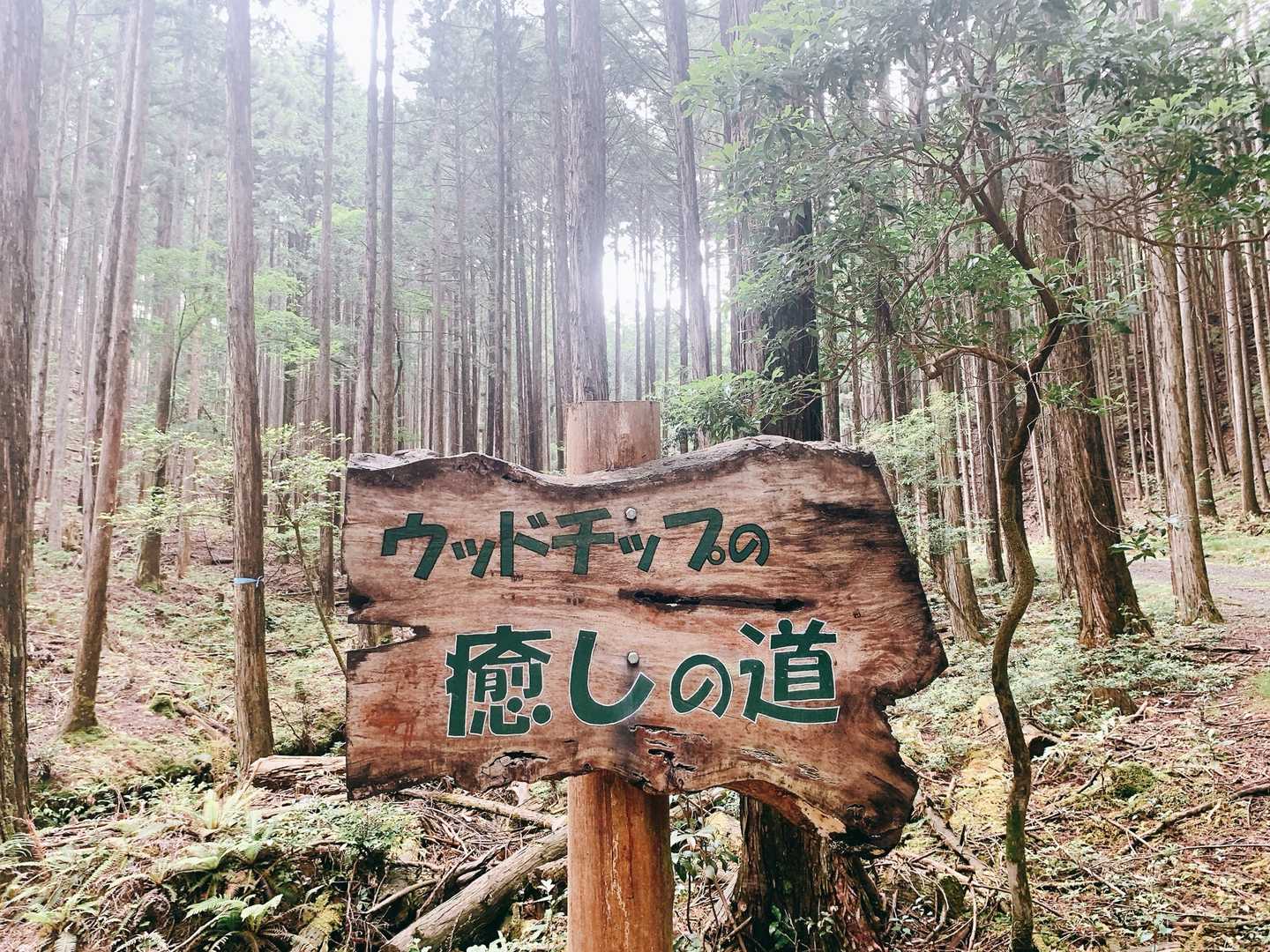 ここもええんよ☺️