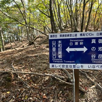 白瀬峠から下山します