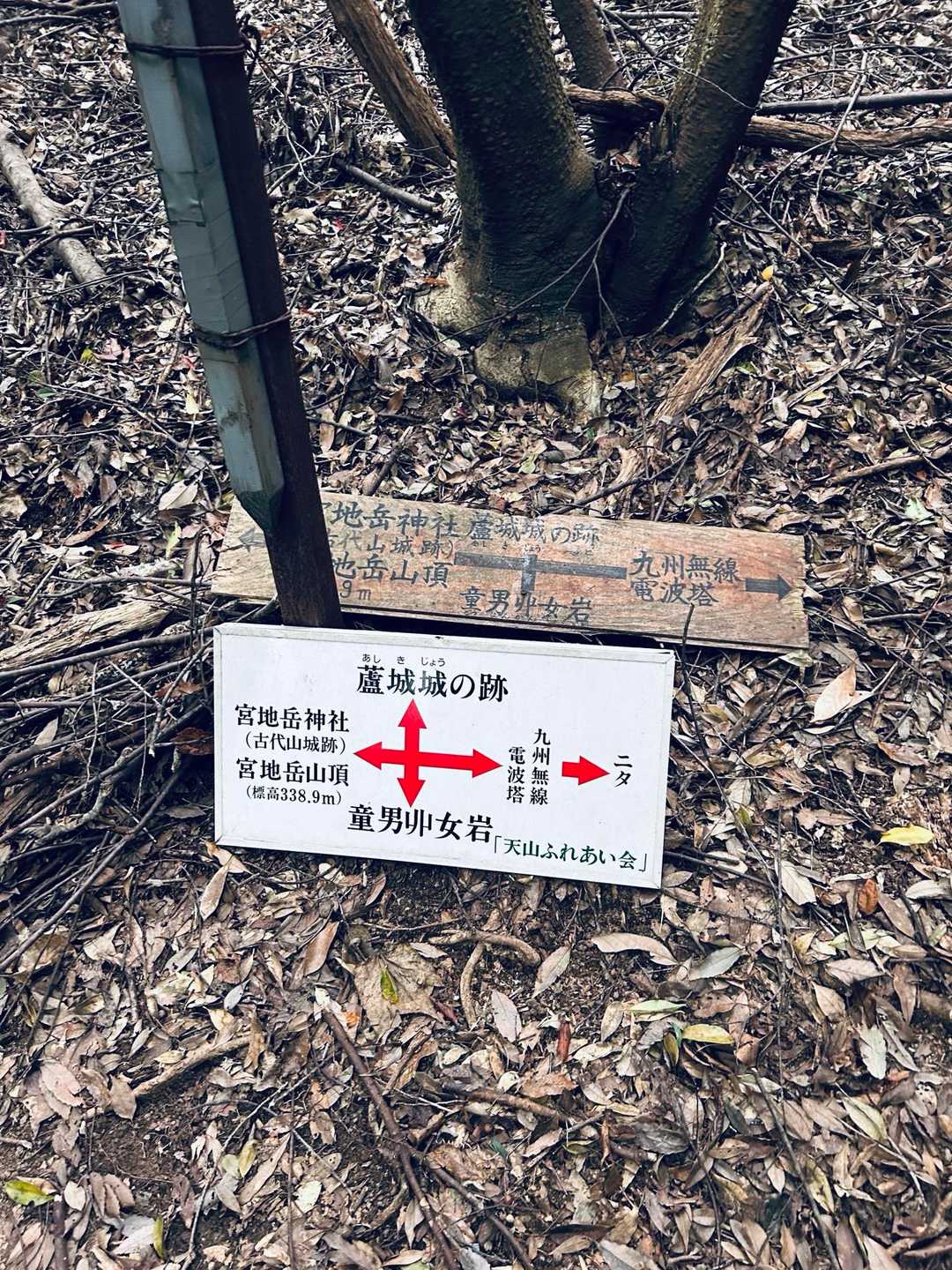 少し歩くと、分岐