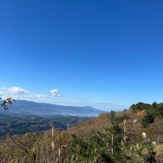 そしてあっという間に