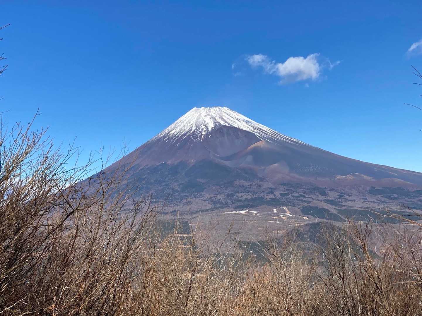 須山愛鷹登山口-富士見峠-黒岳-富士見台-越前岳 周回コースの写真