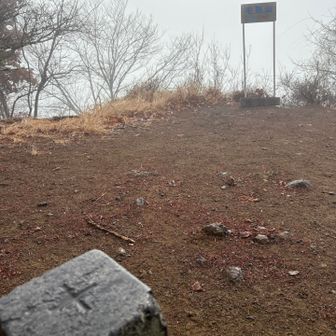 少し広くなっています

さて、十二ヶ岳へ