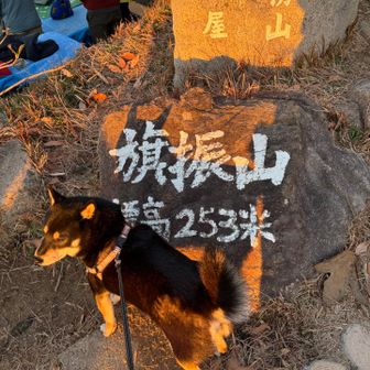 よう歩いたな11回目やね！