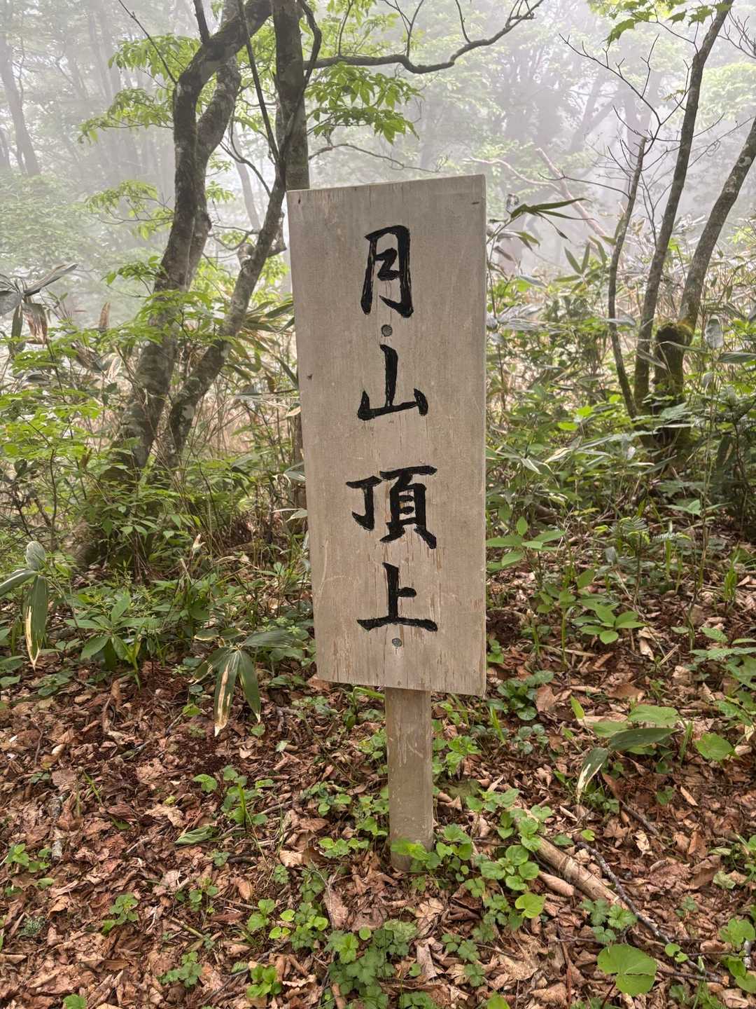 着きました♪