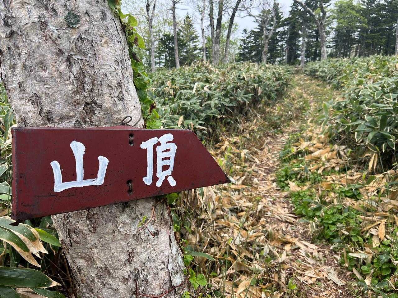 武佐岳 往復コースの写真