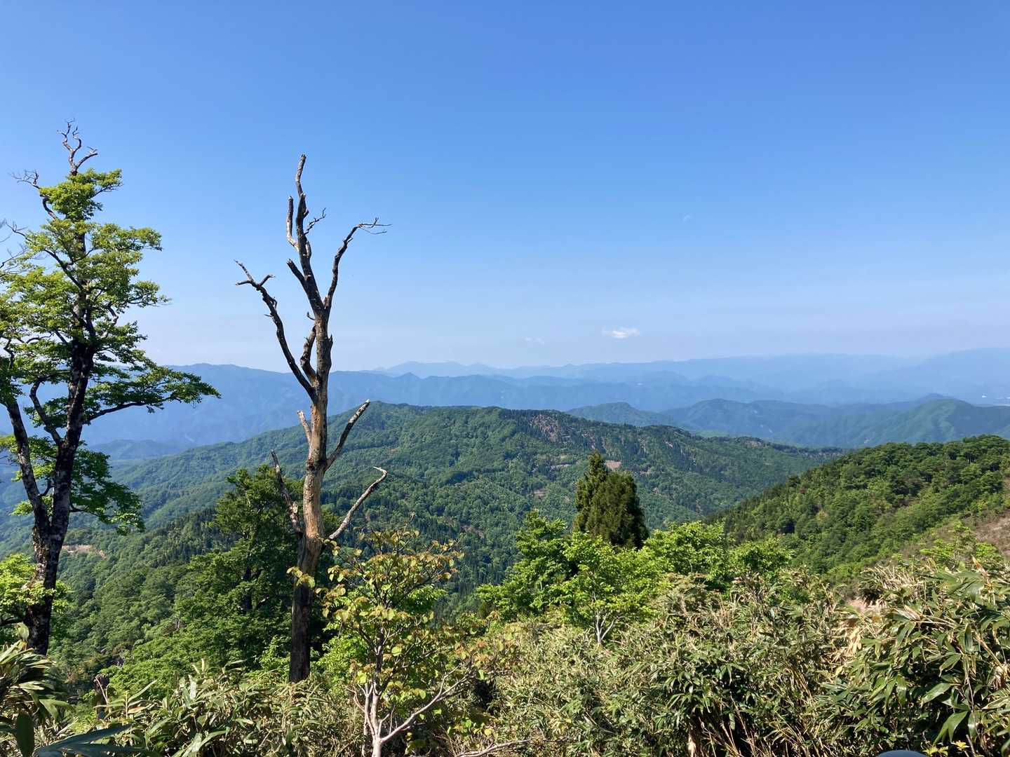 姫路コース登山口-扇ノ山 往復コースの写真