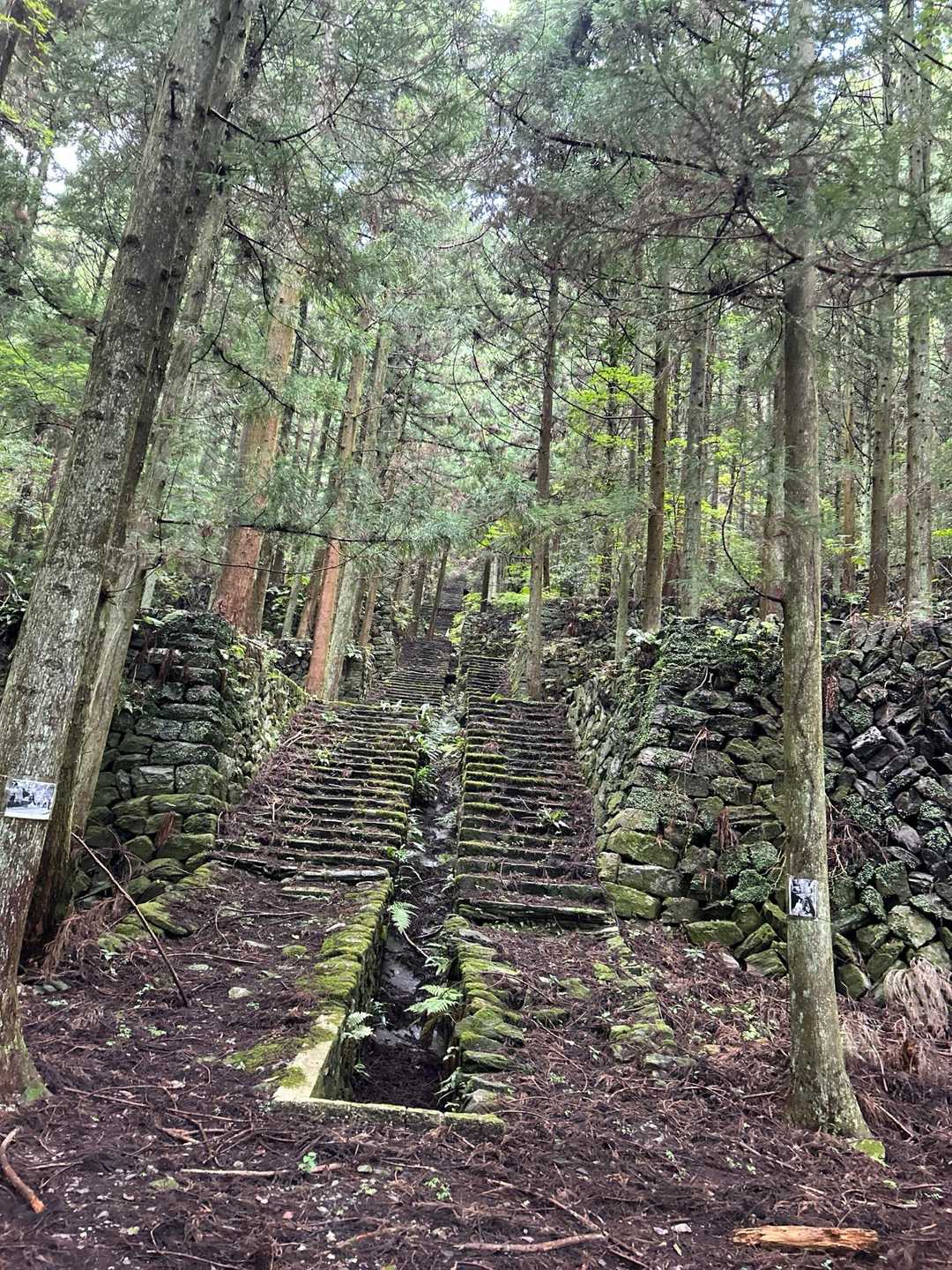 辻ヶ峰登り口-辻ヶ峰 周回コースの写真