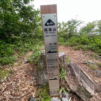 指尾山　ここまで1時間20分
しまった〜😱財布持ってくるの忘れた🤯
別当から🚌に乗れず歩く羽目になるかも😥