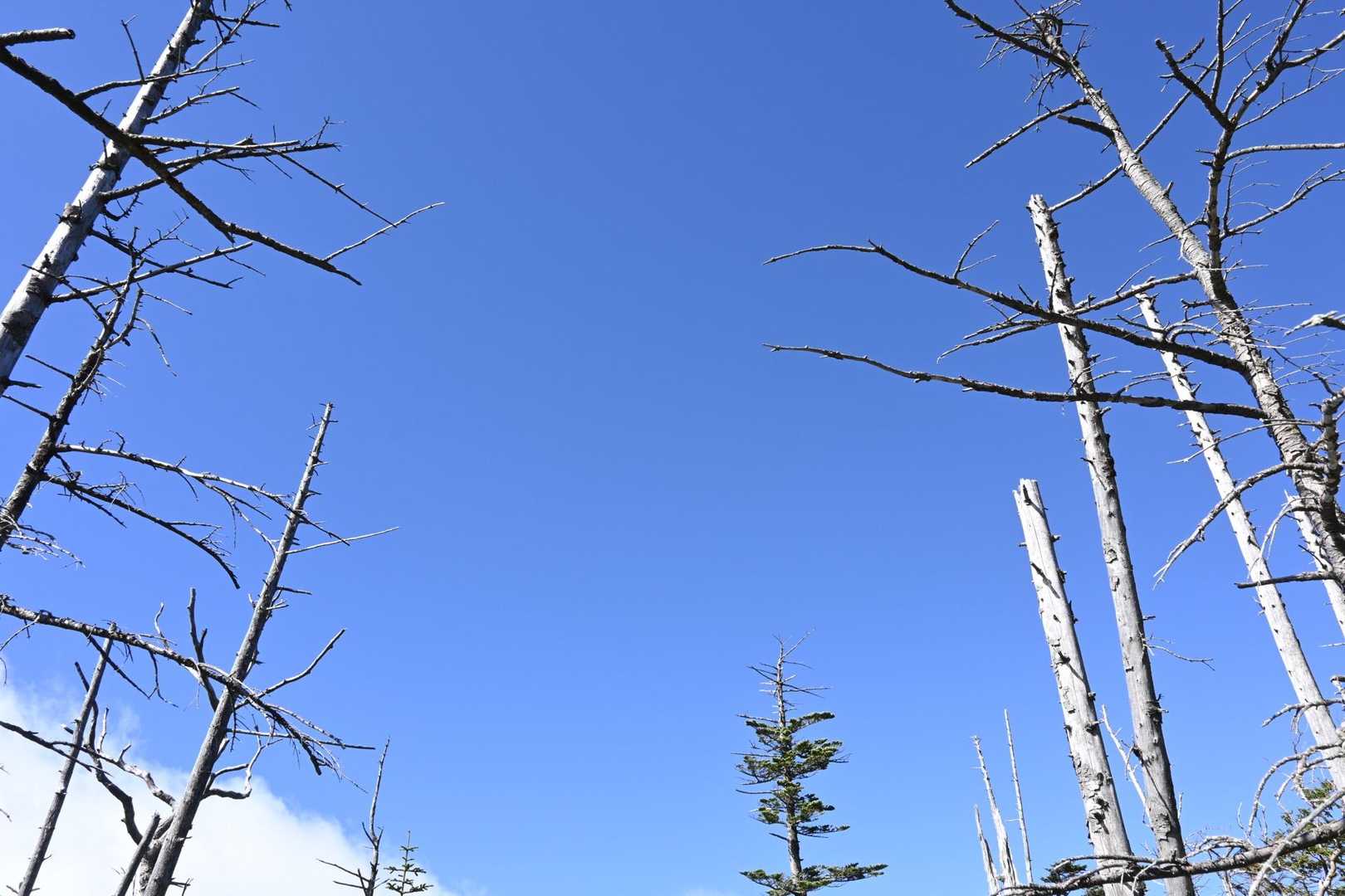 八ヶ岳ブルー