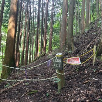 途中七滝沢コースとの分岐があるが、こちらのコースは通行禁止。