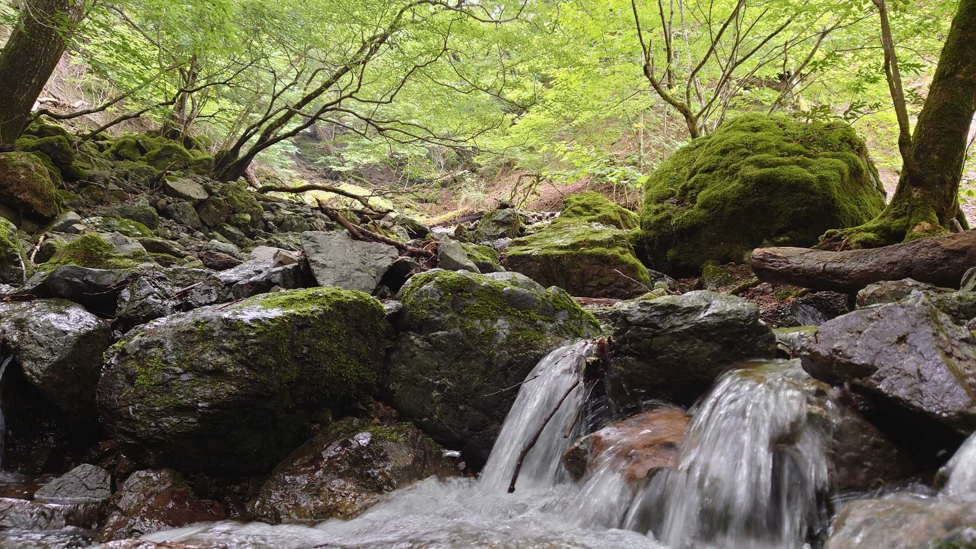 雲早山登山口-雲早山 往復コースの写真