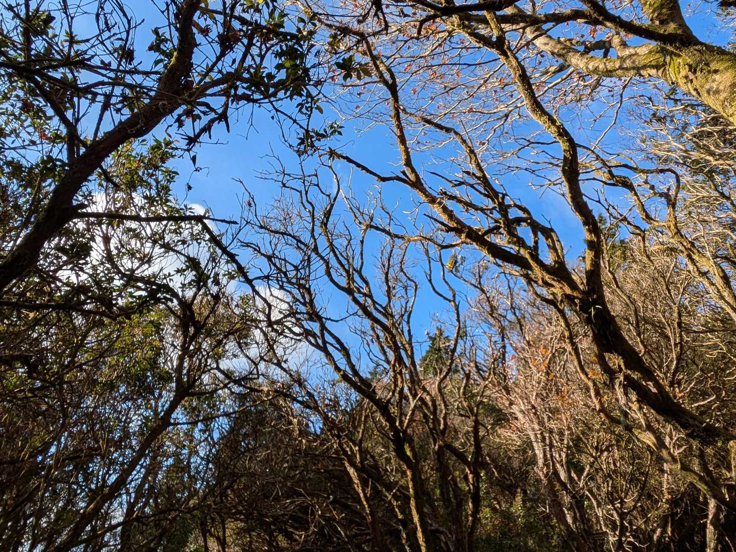 青空🔵出てきた。ありがたい💞