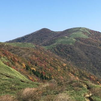 トレラン初心者。