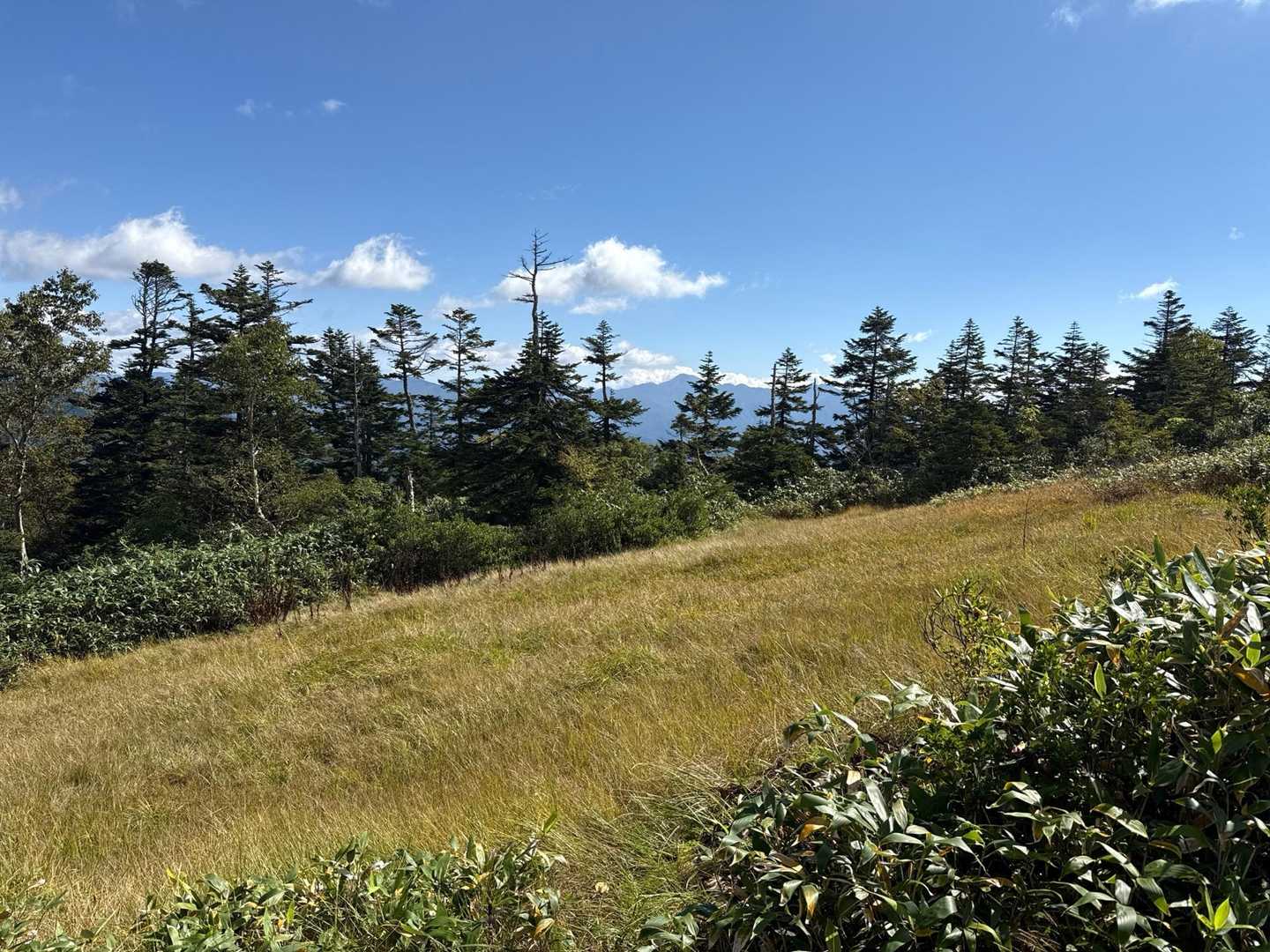 セビオス岳-武尊山 往復コースの写真