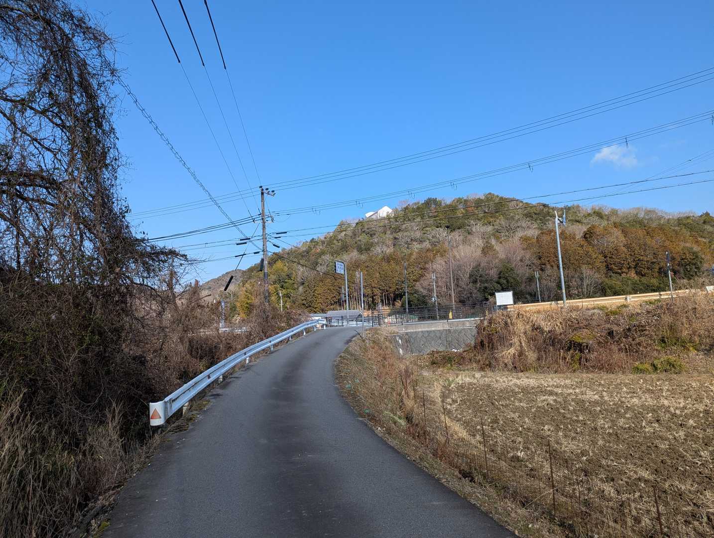 ほとんどの人が三草山に行く中、自分一人が大坂山へ向かう。