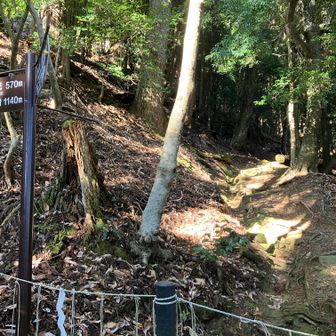 鞍馬山頂への道（封鎖中）