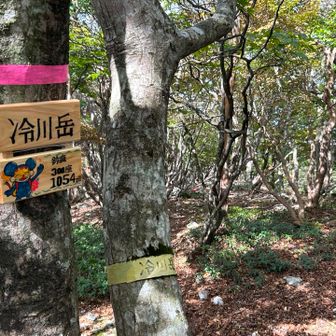 冷川岳⛰️
ここまで来たら御池岳まで行きたくなった😄