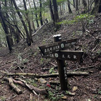 ここで正丸駅にいくところを正丸峠へのえぐい登りに取り付く😂
ほぼ登りきって間違えたのに気づく